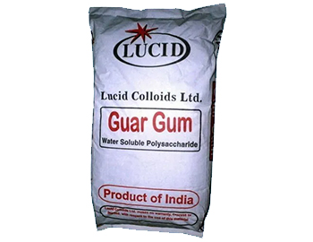 Guar Gum Powder Bagsr