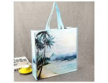 Shopping & Promotional Bags