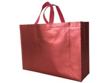 Shopping & Promotional Bags