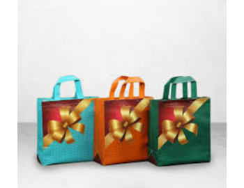 Shopping & Promotional Bags